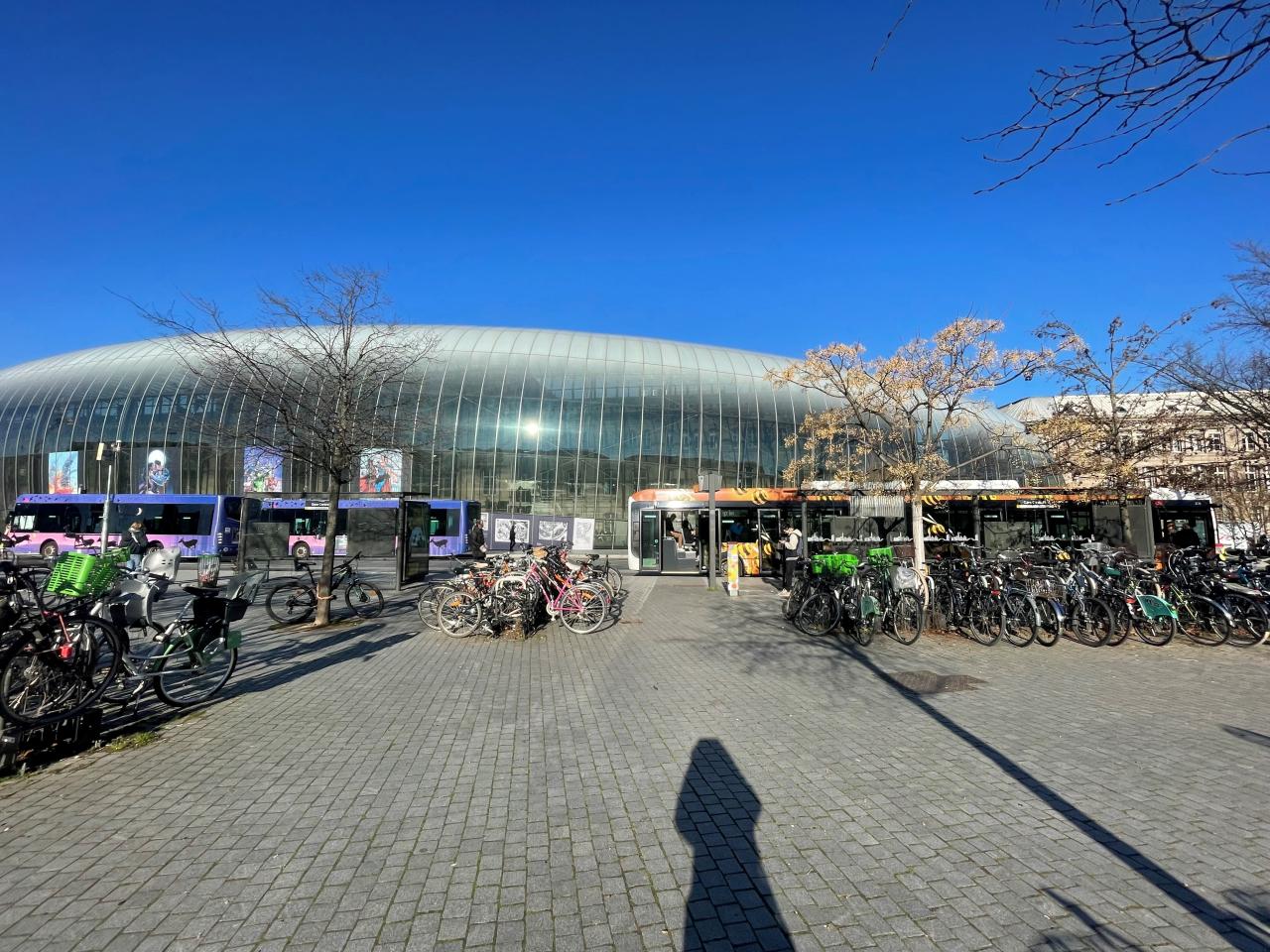 Bureau Strasbourg 3996m² Location bureau Strasbourg Bas-Rhin OLBUR2427550 7
